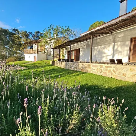 Holiday home Los Molinos